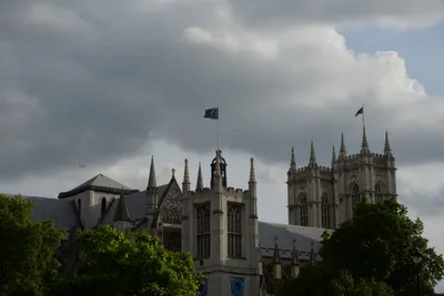 DSC_2824 (Large).JPG